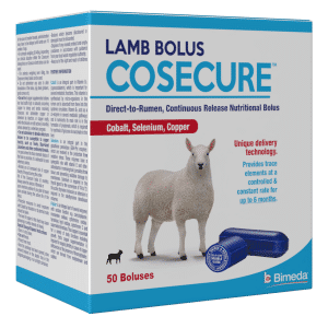 cosecure lamb