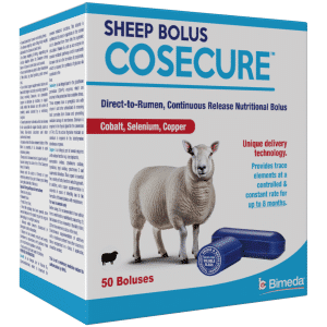 cosecure sheep