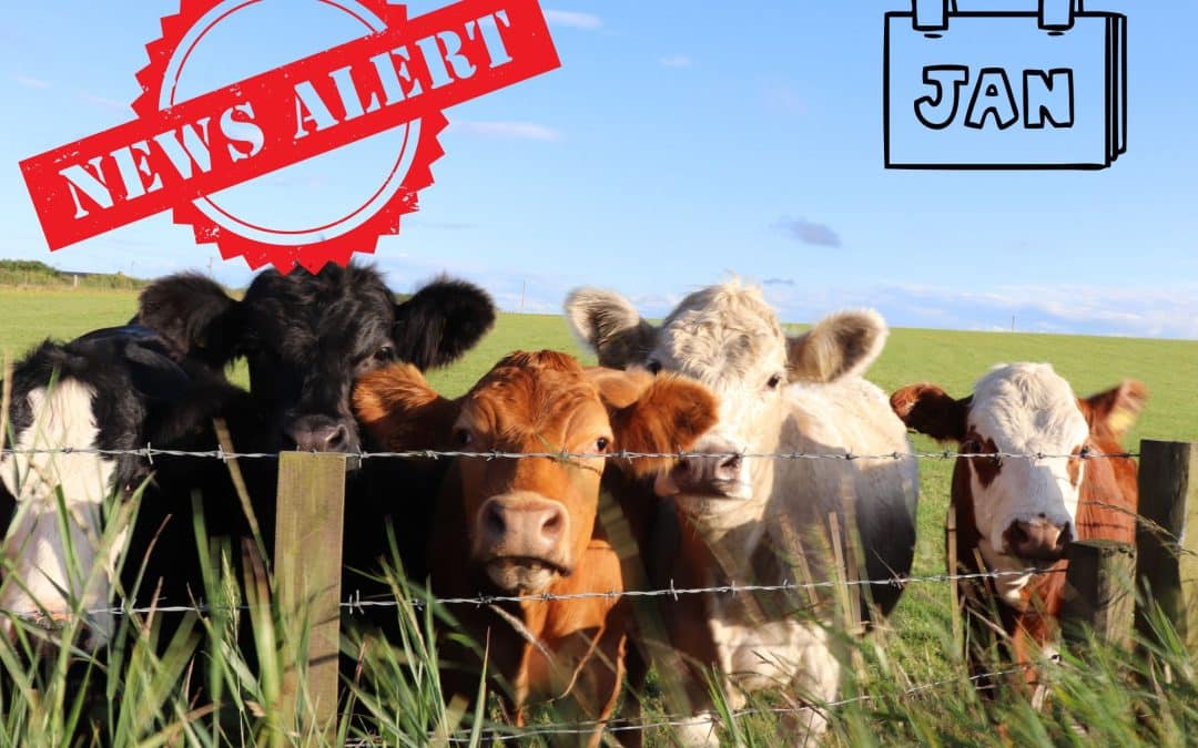 JANUARY NEWSLETTER – READ NOW!