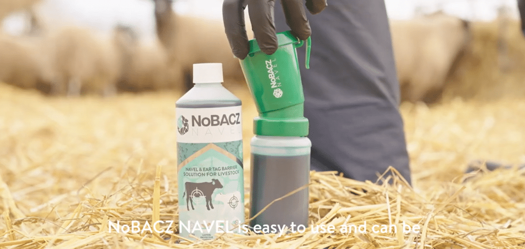 NoBACZ Navel