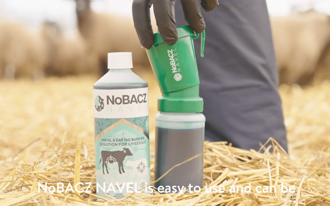 7 Powerful Benefits of NoBACZ Navel for Calves & Lambs: The Product Making Headlines on Countryfile