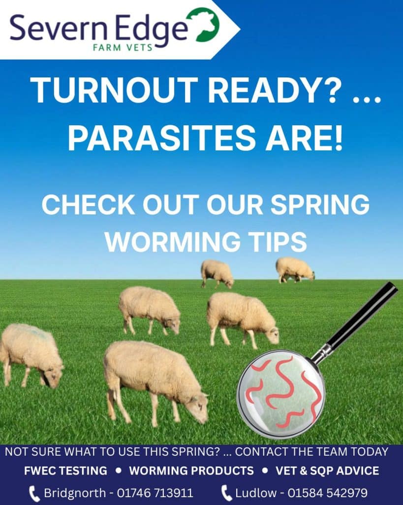 Spring parasite