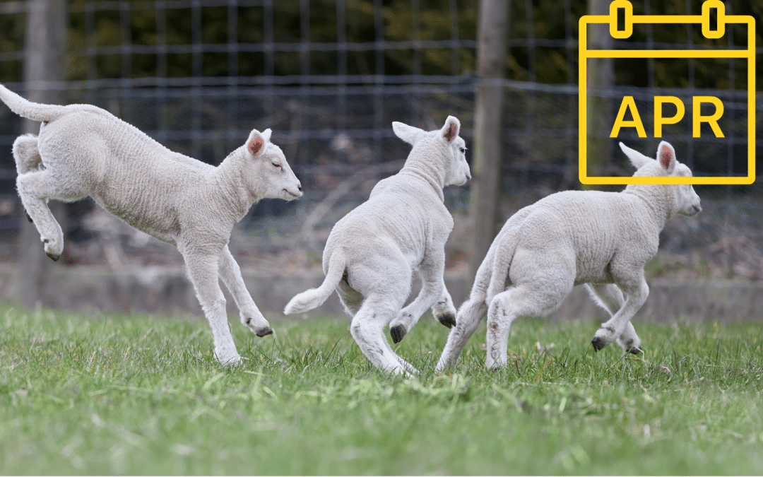 April Newsletter is HERE