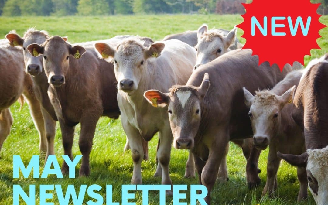 MAY NEWSLETTER IS HERE!