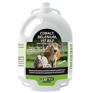 cobalt selenium b12