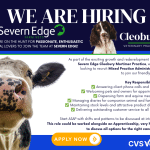 administrator job
