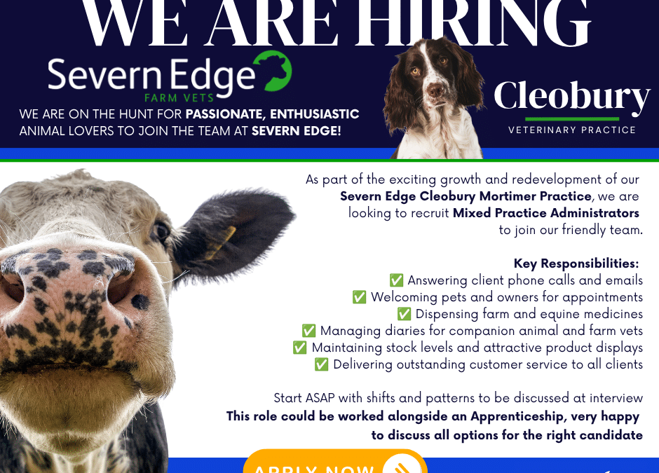 WE’RE HIRING – MIXED PRACTICE ADMINISTRATOR!